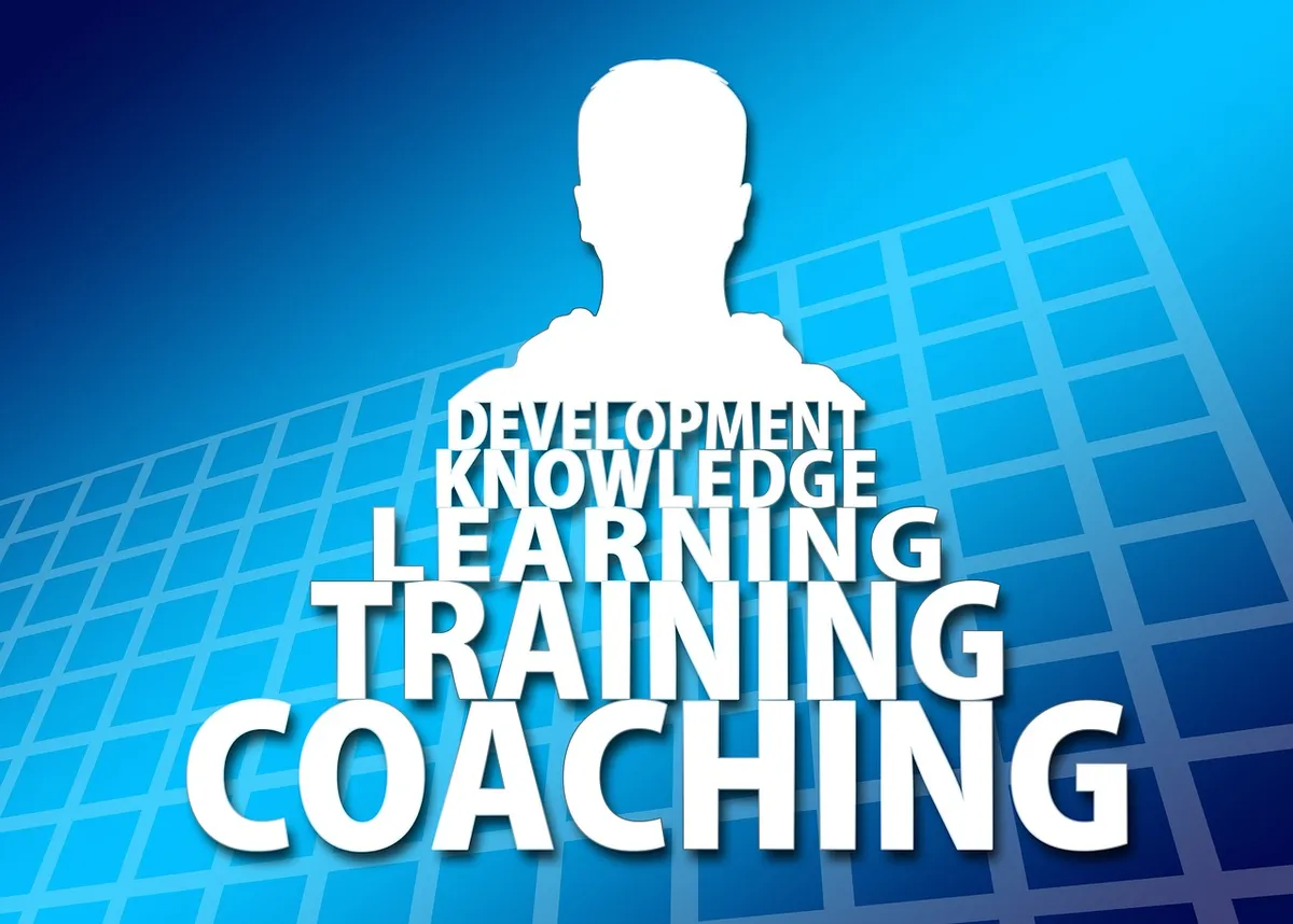 consulting, training, to learn, knowledge, development, success, person, silhouette, mechanics, gear, gears, blue, way of thinking, way of life, attitude to lif