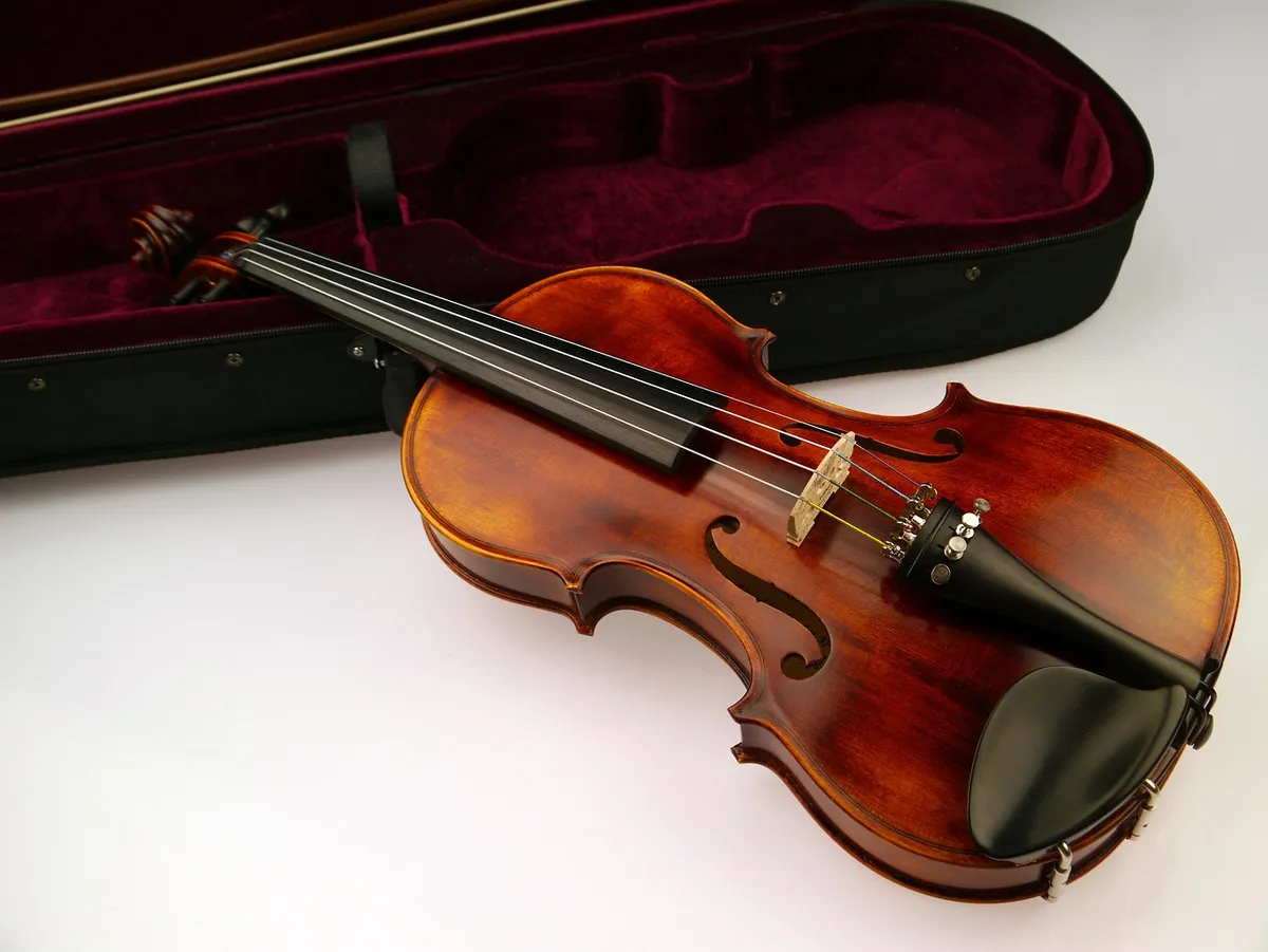 violin, strings, violin case, instrument, fiddle, musical instrument, string instrument, classical music, musical, music, musician, isolated, violin, violin, vi